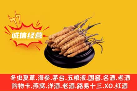 资中县回收冬虫夏草